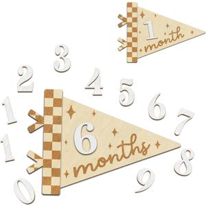 Baby Monthly Milestone Signs - Month Milestone Baby Boy - Baby Milestone Signs - Newborn Photography Props to Document Your Babys Growth - 1-12 Months Baby Milestone Signs (B08)