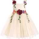 IDOPIP Toddler Baby Embroidery Flower Girl Dress for Kids Wedding Pageant Party Prom Gown Communion Birthday Tulle Dresses No Size