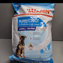 Royal Canin Size Health Nutrition Large Puppy Dry Dog Food, 30 lb Bag (30 Pound (Pack of 1)), BB 19 March 2026