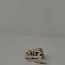 KODENG Tyrannosaur Skull T-Rex Skull Gifts Lifelike Resin Crafts Dinosaur Skull Fossil Teaching Skeleton Model Home Aquarium Decor (A)