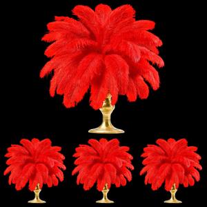 TaoBary White 60 Pcs Red Natural Ostrich Feathers Plumes for Valentine's Day Wedding Birthday Party Red Centerpieces 12-14, 10-12, 8-10 Inches Vase Feathers Flower Arrangement Decors DIY Crafts