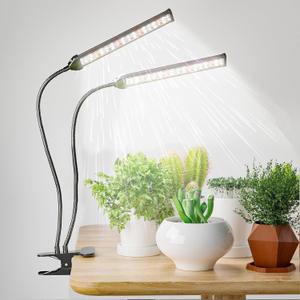 GooingTop Grow Light LED Gooseneck Lamp,6500K 80W Full Spectrum 144 LED Plant Lamp Clip-on Desk for Indoor Plants Growing,Lighting Brightness Changeable,Timer 4 8 12 18Hrs (XX-Large, White 6500K)