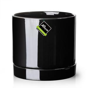 Aveyas 10 inch Ceramic Plant Pot with Drainage Hole and Saucer - Suitable for Indoor and Outdoor Use, Modern Planters for House Garden Flower Tree Snake Monstera Plants (10", Glossy Black)
