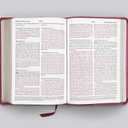 ESV Large Print Compact Bible (TruTone, Berry, Floral Design)
