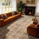 LIANLAM 8x10 Washable Area Rug, Vintage Boho Traditional Pattern, Non-Slip Stain Resistant Rug for Living Room Bedroom(8x10,Brown/Boho)