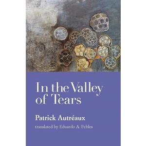 In the Valley of Tears (Paperback)