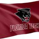 Desert Cactus Florida Institute of Technology FIT Flag - 3 x 5 Feet Panthers Banner, Indoor/Outdoor Durable Fabric, 100% Polyester Design (Style 1)