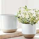 Quinn Stoneware Outdoor Planters 2 Packs