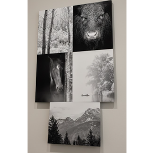 Wall Art Kit Frame Home (5pack) 11x14