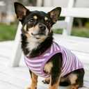 Dog Shirts for Small Dogs Boy Girl 2 Pack Stretchy Lightweight Spring Calm Puppy Clothes Breathable Tshirts for Medium Dogs Purple Size S for Easter,S- Chest 15"