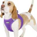 rabbitgoo Small Dog Harness, Step-in Soft Mesh Puppy Vest with Safety Buckle, Breathable Reflective Pet Harness for Small Sized Dogs, Purple M (M(Chest:16.0"-18.5"))