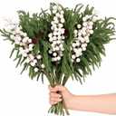 12 Pack Artificial Norfolk Pine Branches 17.7" Christmas Artificial Pine Stems with White Berry Stems Fake Pine Needles Picks for Vase DIY Crafts Garland Wreath Xmas Indoor Home Decor