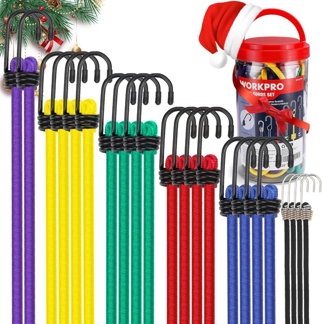 WORKPRO Bungee Cords Heavy Duty Outdoor - 22 PCS Bungee Cords with Hooks in a Storage Jar Includes 10", 18", 24", 30", 36", 48" Bungie Cord Bundle Assortment with Metal Hook (Multicolor)
