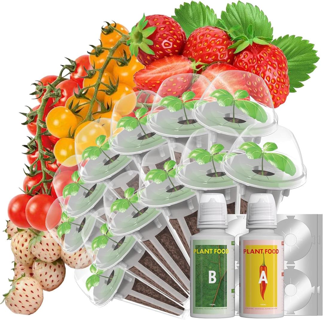 LYKOCLEAN Strawberry Seed Pods for AeroGarden, Ahopegarden, iDOO Hydroponics Growing System, 350 Seeds+ Including Red Cherry Tomato Golden Cherry Tomato, White Strawberry, Red Strawberry (12-Pods) (Fruit)