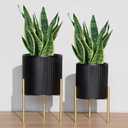 ARNIS Modern Planter Pots, Set of 2 Round Large Planters with Stand, Decorative Planters, Metal Pots with Drainage Holes for Living Room, Office, Garden or Balcony, 8.25 &10.5 Inch, Black & Gold