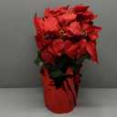 Nearly Natural 19in. Artificial Lush Poinsettia Arrangement in Red Wrapped Planter