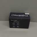 CHLORANTHUS 2 Pack Cordless Table Lamps, 3 Colors Stepless Dimming, 5000mAh Rechargeable Battery LED Desk Lamp for Bedroom/Couple Dinner/Desk/Cafe/Dining Room/Terrace