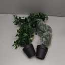 2pcs Realistic Fake Plants Artificial Potted Plants for Home Decor Easy Care Hanging Greenery
