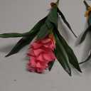 2Pcs Artificial Bromeliad Plants, 18" Fake Hawaiian Ginger Flower,Large Real Touch Faux Tropical Flowers, Lifelike Exotic House Plants for Home Office Indoor Decoration (Pink)