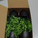 Der Rose Fake Plants 4 Packs Artificial Plants Small Faux Plants Black Bathroom Accessories for Halloween Bathroom Home Kitchen Coffee Table Office Desk Decor Indoor (Green)