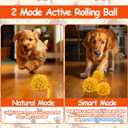 3 x Interactive Dog Toys - Self Rolling Dog Ball with Anti-Chewer Cover for Small/Medium Puppy, Active Motion Activated Toys That Move on its Own, Orange