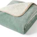 Bedsure Waterproof Dog Blankets for Small Dogs - Small Cat Blanket Washable for Couch Protection, Sherpa Fleece Puppy Blanket, Soft Plush Reversible Throw Furniture Protector, 25"X35", Light Green