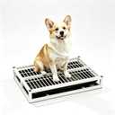 Indoor Dog Potty Toilet, Elevated Pee Pad Holder for All Breeds, Keeps Paws & Floors Clean, Ideal for Bedroom/Dorm, Rainy Days & Early Mornings/Late Nights (White,M: 24.4 x 17.7 x 3.2 inch)