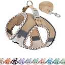 AIITLE Teacup Puppy Harness with Leash - Adjustable Soft Vest with Magic Tape & Reflective Safety Strips, Easy-Put-On for Poodles, Pomeranians - Gym, Hiking, Travel (Brown-Beige, S)