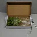 12 Pcs Lime Green Christmas Glitter Curly Tree Picks and Sprays for Tree 11.81" Artificial Glitter Stem Pick and Twigs Decorations Xmas Vase Filler Ornaments Topper Branch for DIY Wreath