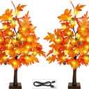 Fall Decor 2FT Lighted Maple Tree - 24 Inch Thanksgiving Tabletop Lamp Decor with 36 LED Lights, 72 Maple Leaves, 6 Pines, Timer, Battery or USB Operated Artificial Tree Fall Decorations for Home