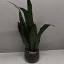 Bird Fiy Artificial Snake Plant 22.5" Faux Agave Fake Sansevieria Artificial Potted Plants for Indoor and Outdoor Home Office Dcor (Green)