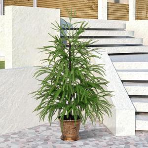 XmasExp 3ft Norfolk Pine Tree Artificial Faux Potted Real Touch Christmas Tree for Front Porch Indoor Outdoor Decor (Green)