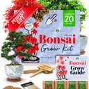 HOME GROWN Bonsai Tree Kit  Premium Ceramic Starter Set with 4 Bonsai Varieties  Easy Indoor Gardening Gift for Men & Women  Unique Plant Kit for Beginners & Nature Lovers