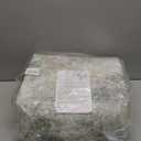 Area Rugs 8x10 for Living Room Bedroom, Modern Abstract Machine Washable Large Light Green Rug Soft Rug, Low Pile Floor Carpet with Non Slip Backing for Dining Room