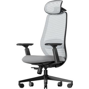 ProtoArc Ergonomic Office Chair EC200 High-Back Mesh Computer Chair with Lumbar Support, 3D Adjustable Headrest & Sliding Seat for 8+ Hour Comfort, Big & Tall Home Office Desk Chairs - Gray