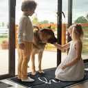 Door Mat (36"x24",Black) Welcome Mat Low Profile Front Doormat Indoor Outdoor Door Non Slip Rugs for Entryway, Patio, High Traffic Areas