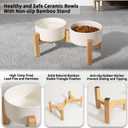 Elevated Ceramic Dog Bowl, 3.6 Cups Dog Food and Water Bowl Set with Stand, White
