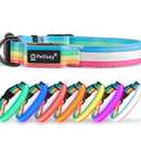 Premium LED Dog Collar for Night Walking - Light up Dog Collar Cycle 7 Solid Colors - Lighted Dog Collars USB C Rechargeable - Waterproof Glow in The Dark Dog Collars - Adjustable, Fashion, Safety(M)