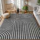 Moynesa Abstract 8x10 Area Rug, Black Washable Living Room Rugs, Modern Rainbow Large Bedroom Rug Non Slip Soft Non Shedding Indoor Carpet for Dining Room Nursery Office