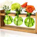 XXXFLOWER 3 Bulb Glass Propagation Station with Wooden Stand, Propagation Vase Propagated Plant Holders Tabletop Planter, Gardening Hydroponics Gift Home Office Indoor Decor (Green)