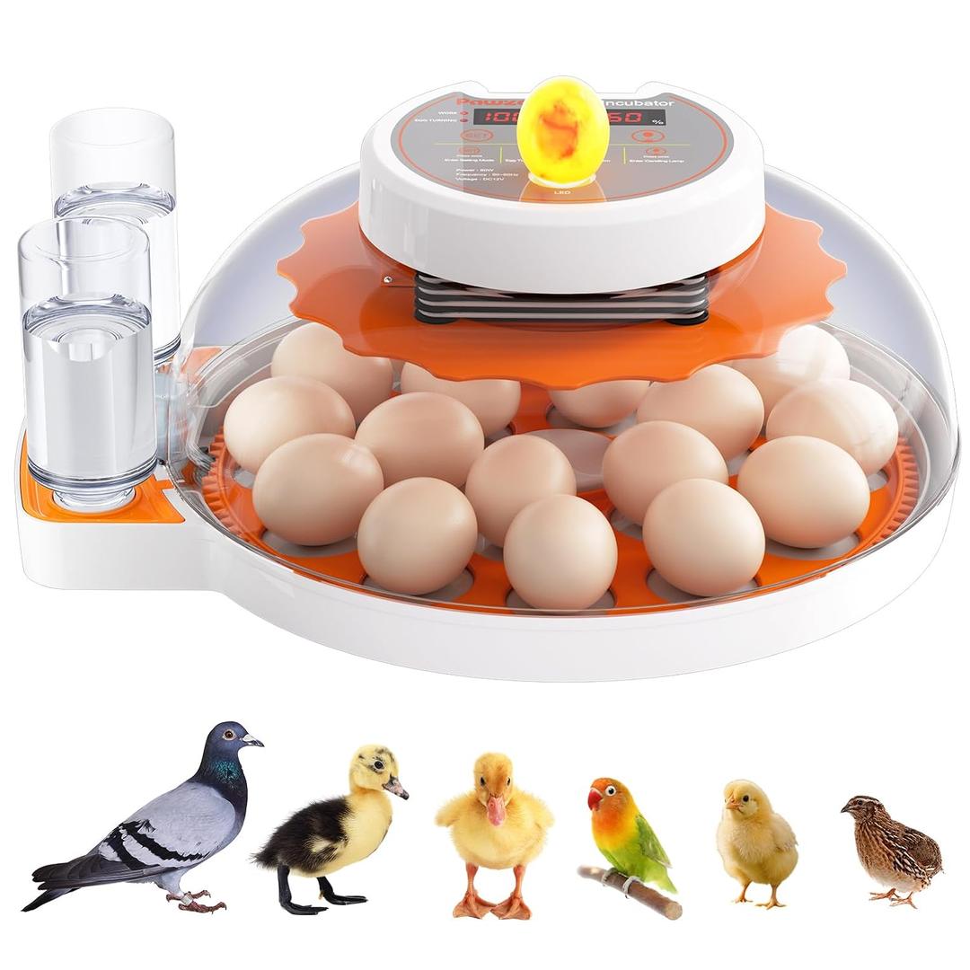 Incubators for Hatching Eggs - 18 Egg CapacityAutomatic Egg Turner360 ViewingTemperature & Humidity ControlDual Size Egg Trays for Chicken, Duck, Goose, Turkey, Quail, and Parrot Eggs