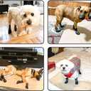 BINGPET Dog Socks for Hardwood Floors,Outdoor Anti Slip Waterproof Paw Protector,Dog Boots for Hot Pavement for All Season Grip Socks Prevent Licking for Small Medium Large Old Dogs