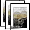 Fxojyvo 16x24 Picture Frame Set of 3, Display Poster 12x18 with Mat or 16 x 24 Without Mat, Light Weight and High Transparent 16 by 24 Frame for Wall - 3 Pack/Black/16 x24