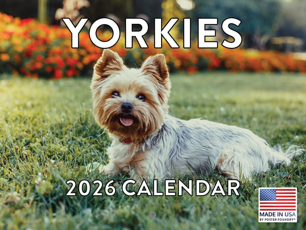 5 x Yorkie Calendar 2026 Yorkshire Terrier Monthly Wall Calender 12 Month | American Made In The USA