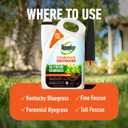 Roundup for Lawns Crabgrass Destroyer2, Tough Weed Killer, Kills Crabgrass, Foxtail, Goosegrass, Ready-to-Use, 64 oz.