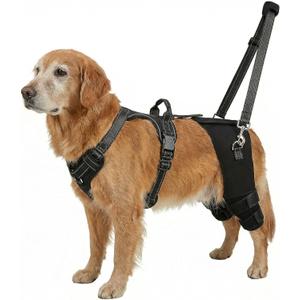 Dog Hip Support Brace-Adjustable Dog Leg Brace for Back Leg with Lift Strap for Hip Dysplasia Arthritis Pain Relief, Dog Hip Dysplasia Brace for Dogs(XXL)