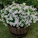 Lnoicy 20 Bundles Artificial Flowers for Outdoor Fake Plants for Spring Decoration,Faux Eucalyptus Flowers for Planter UV Resistant Lifelike for Home Porch Garden（White）