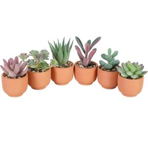 Nubry Mini Fake Plants in Terrine Pots Artificial Small Succulents Potted Faux Assorted Lifelike Plants for Home Office Desk Decor, Set of 6 (Orange Terracotta Pots)
