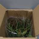 AlphaAcc 16.5" Fake Grass Plant Decorative Faux Greenery in Textured Gray Stripe Planter Lifelike Artificial Potted Plant for Modern Farmhouse Living Room Bedroom Kitchen Office Table Decor