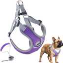 Dog Harness with Leash Set, Adjustable Step in Collars Harness with Breathable Padded Vest for Medium Dogs Training and Running (M, Purple)